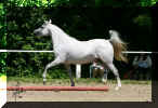 �Pyramid Laneya 26.47.jpg (41228 Byte)