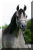 �Pyramid Layyan K_5318.jpg (23438 Byte)