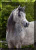 �_5250511.jpg (92232 Byte)