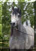 �_5250602.jpg (89062 Byte)