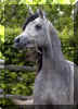 �_5250618.jpg (93480 Byte)