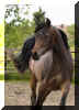 �_5259786.jpg (38297 Byte)
