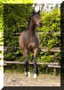 �_5259831.jpg (60111 Byte)