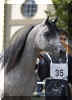 �_8059147.jpg (34621 Byte)